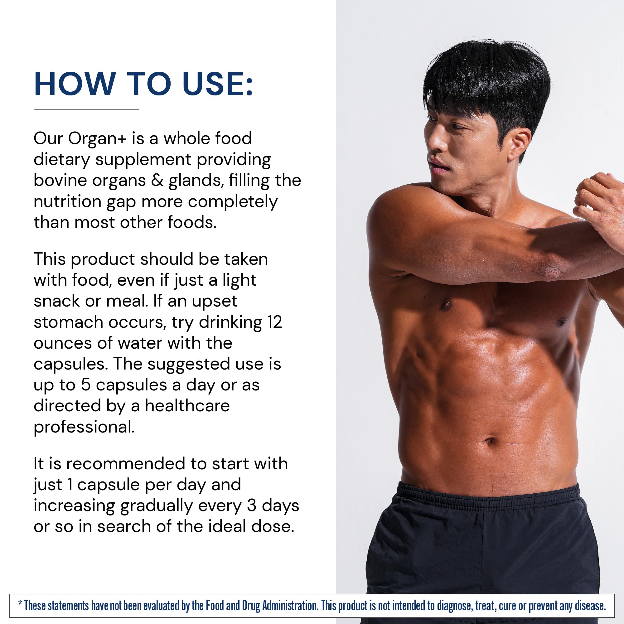 BodyHealth Organ+ grass-fed pancreas capsule for nutrient-dense support.