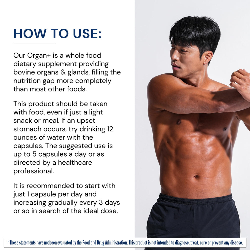 BodyHealth Organ+ grass-fed pancreas capsule for nutrient-dense support.