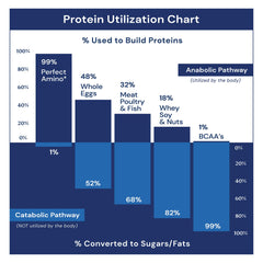 BodyHealth PerfectAmino in a gym setting illustrating enhanced endurance during training.