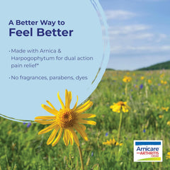 Boiron Arnicare cream with Harpagophytum devil's claw blend