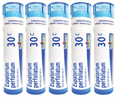 Boiron Eupatorium Perfoliatum 30C pellets for bone pain relief and stiffness support
