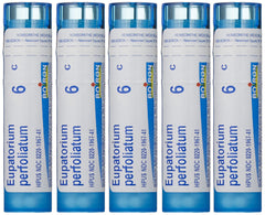 Boiron Eupatorium Perfoliatum 6C pellets in a tube for fast onset support.