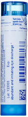 Boiron Euphrasia 30C pellets dissolving quickly for easy, on-the-go dosing.