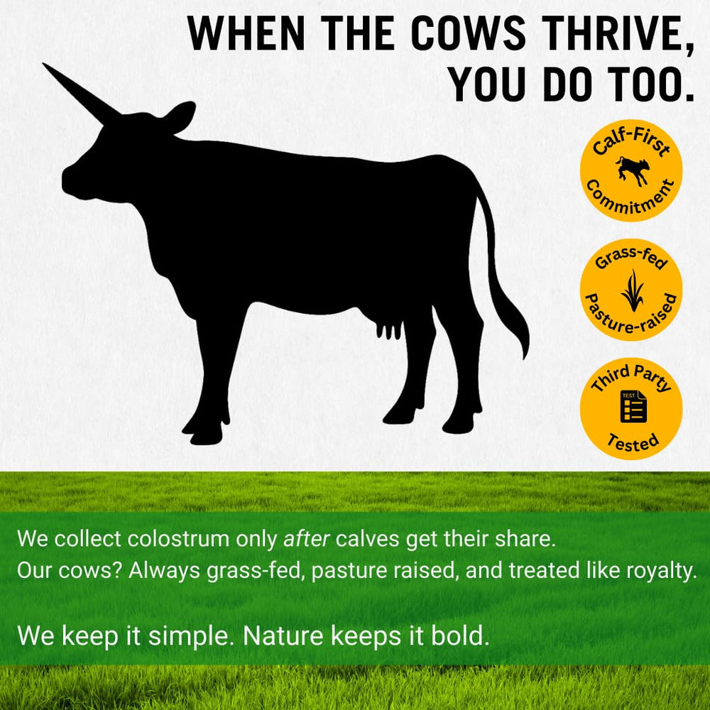 Bold Belly Colostrum Powder poured into a glass of water for quick mixing