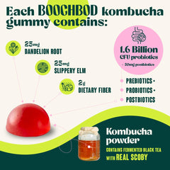 BoochBod vegan non-gmo label confirms clean, plant-based formula.