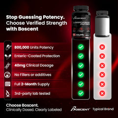 BOSCENT GMP facility image underscores strict quality control and purity.