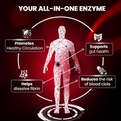 BOSCENT Lumbrokinase label view emphasizes GMP quality and lab-tested potency.
