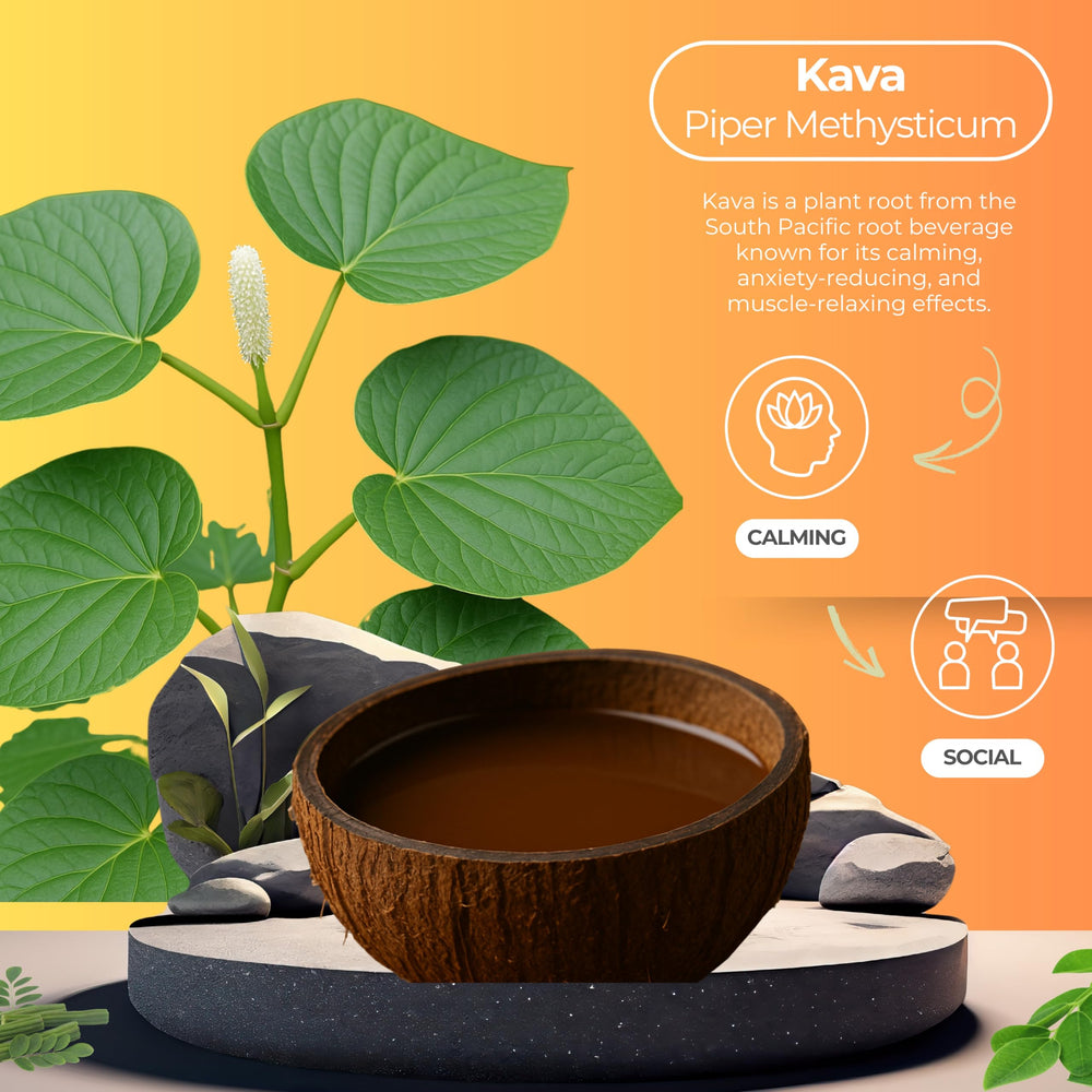 Botanical Brewing Kava Root Extract label close-up conveys premium, natural ingredients.