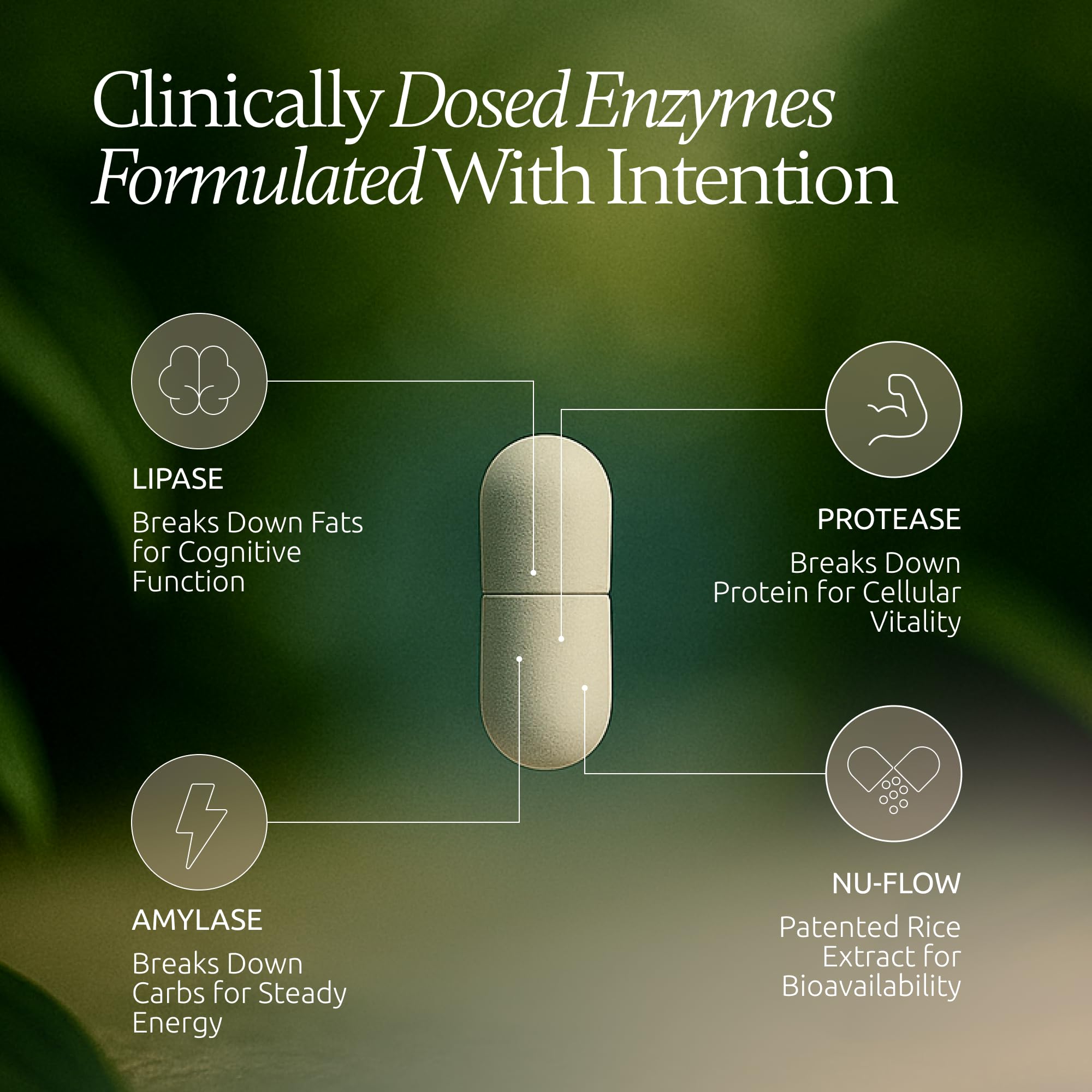 Boulder Bio Digestive Enzymes scoop shows easy dosing with meals