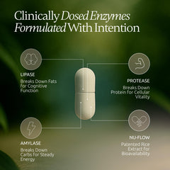 Boulder Bio Digestive Enzymes scoop shows easy dosing with meals