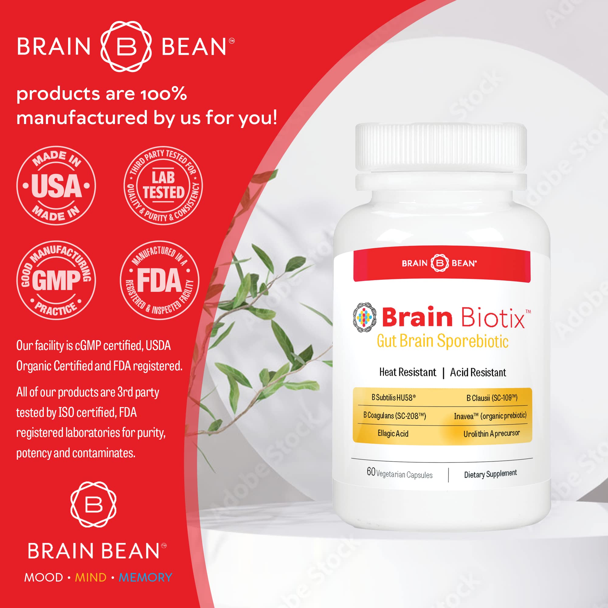 Brain Bean Brain Biotix FibreGum prebiotic feature emphasizes organic support