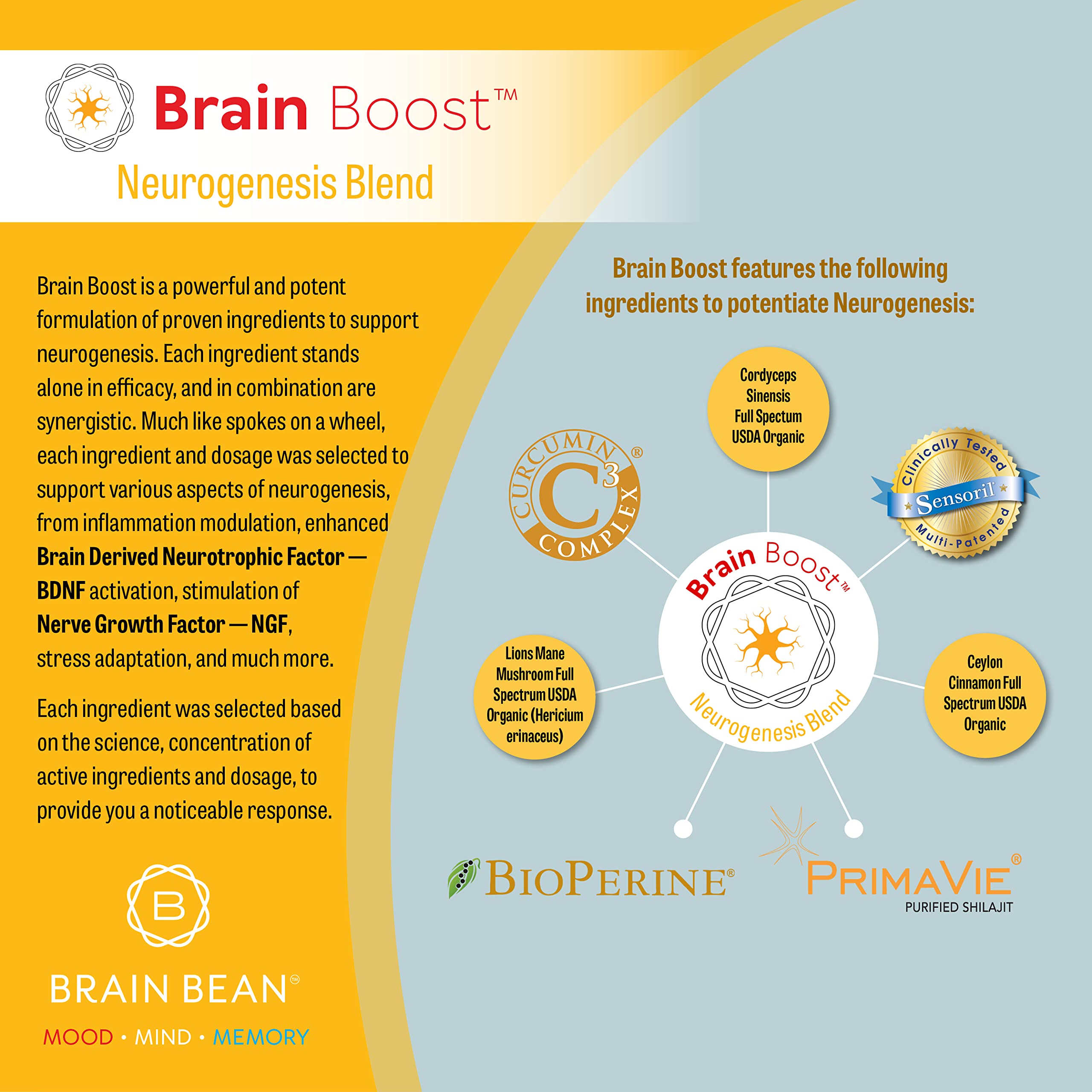 Brain Bean Brain-Boost label closeup showing ingredient blend for daily use.