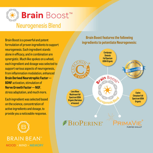 Brain Bean Brain-Boost label closeup showing ingredient blend for daily use.