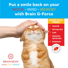 Brain G-Force dosing scene suggesting a simple daily capsule routine