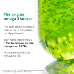 Brain Feed DHA label notes carrageenan-free vegan formula