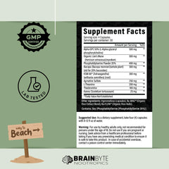 BrainByte Nootropics All-in-One bottle back label lists nootropic blend for focused daytime use.