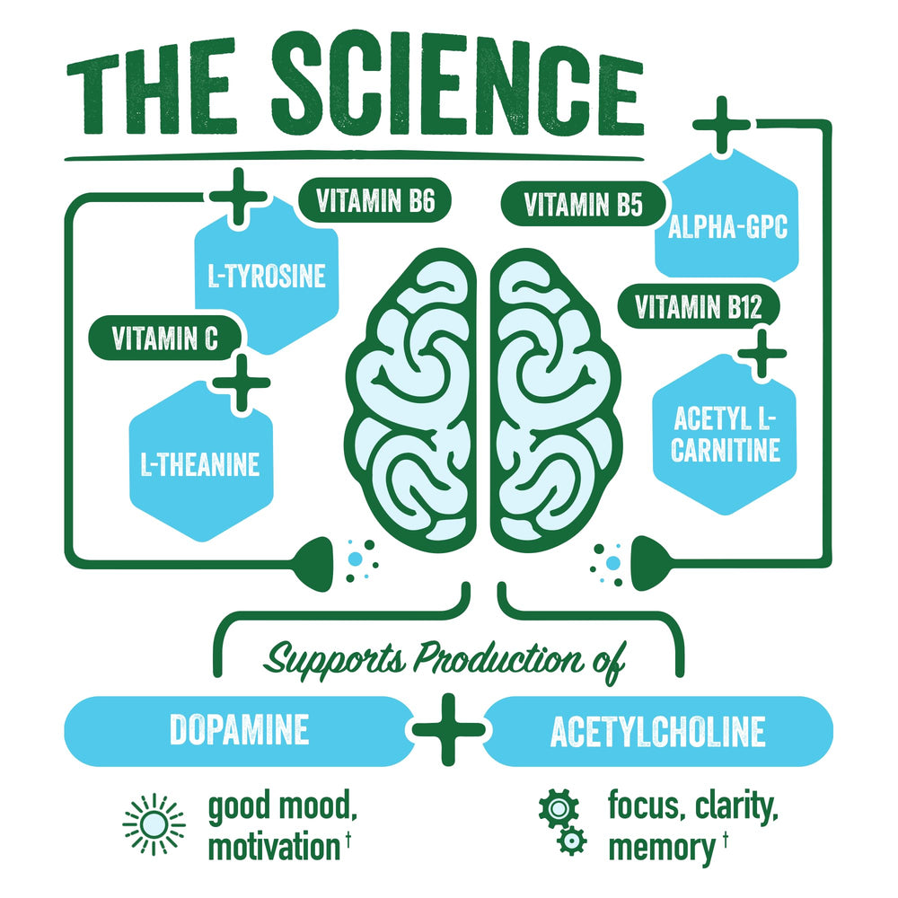 BrainJuice Alpha GPC ingredient shot highlighting cognitive support.
