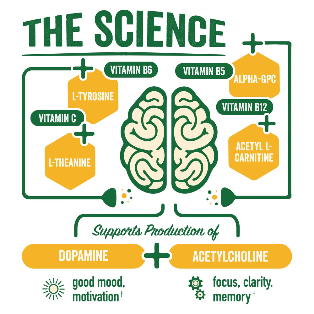 BrainJuice alpha-gpc and l-theanine ingredients showcased for focused mood support.
