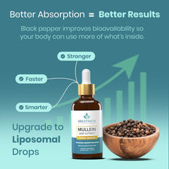 Refreshing mint flavor of Breathium 4-in-1 Mullein Drops