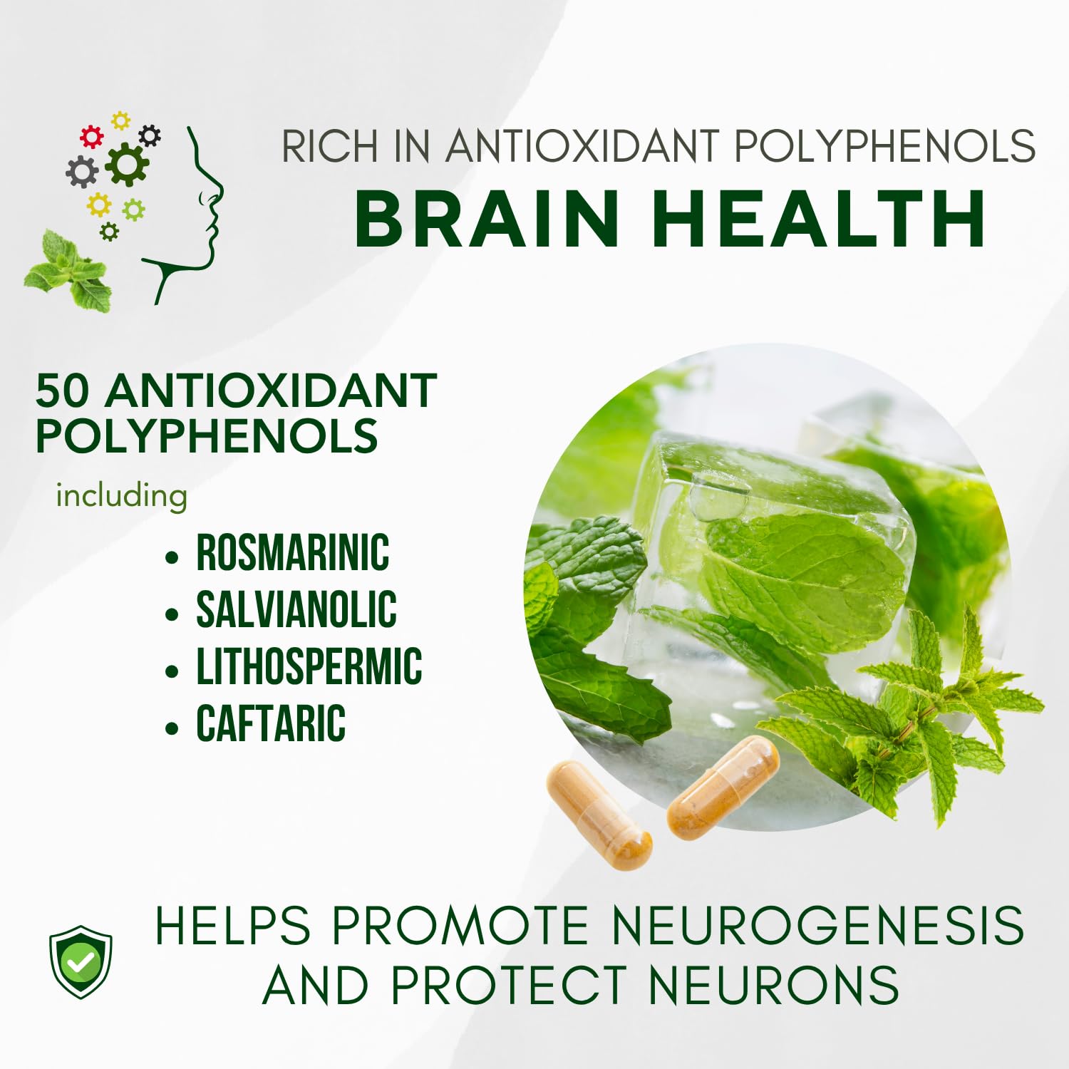 Memory Matters bottle label with Neumentix extract highlights natural nootropic support
