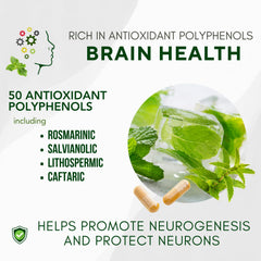 Memory Matters bottle label with Neumentix extract highlights natural nootropic support