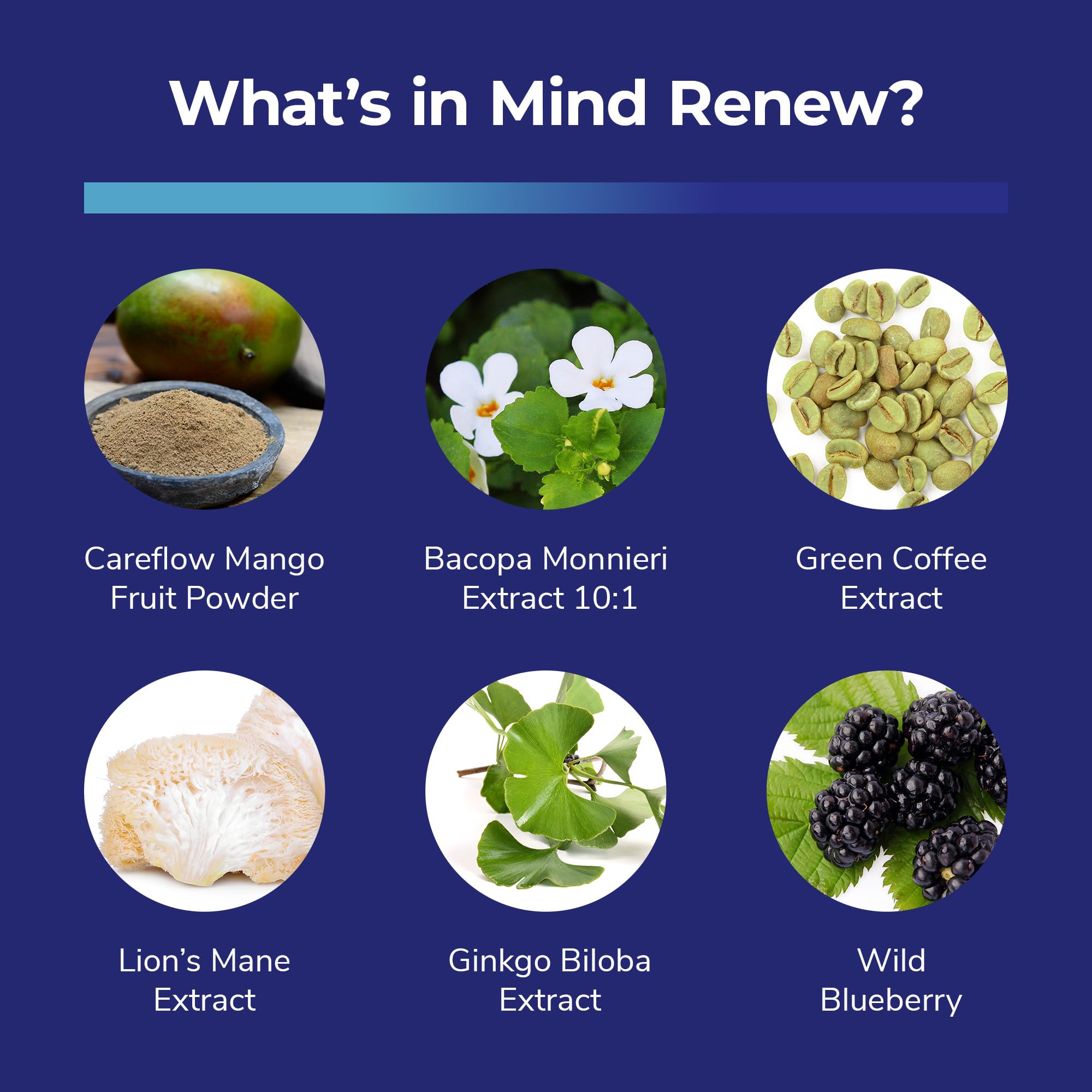 Bright Naturals Mind Renew display of Ginkgo Biloba extract ingredient details.