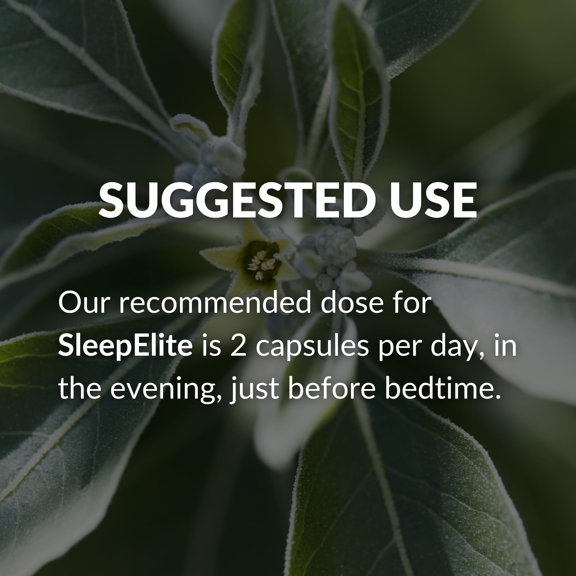 Relaxed bedroom scene with SleepElite and a glass of water.