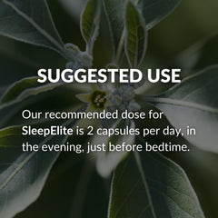 Relaxed bedroom scene with SleepElite and a glass of water.