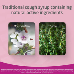 Close-up of thyme herb for the syrup's thyme extract