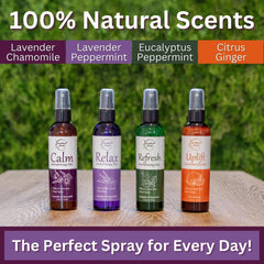 Brookethorne Aromatherapy Mist Refresh peppermint eucalyptus for focused clarity in homes and offices.
