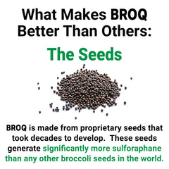 BROQ detox pathways diagram shows sulforaphane engagement.