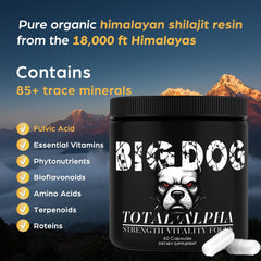 Bruiseweed plant-based ingredients label highlights natural formula.