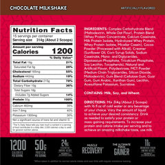BSN TRUE-MASS 1200 serving scoop showing easy daily dosing