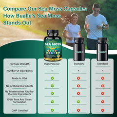 Bualle bladderwrack and burdock root showcase natural ingredients.