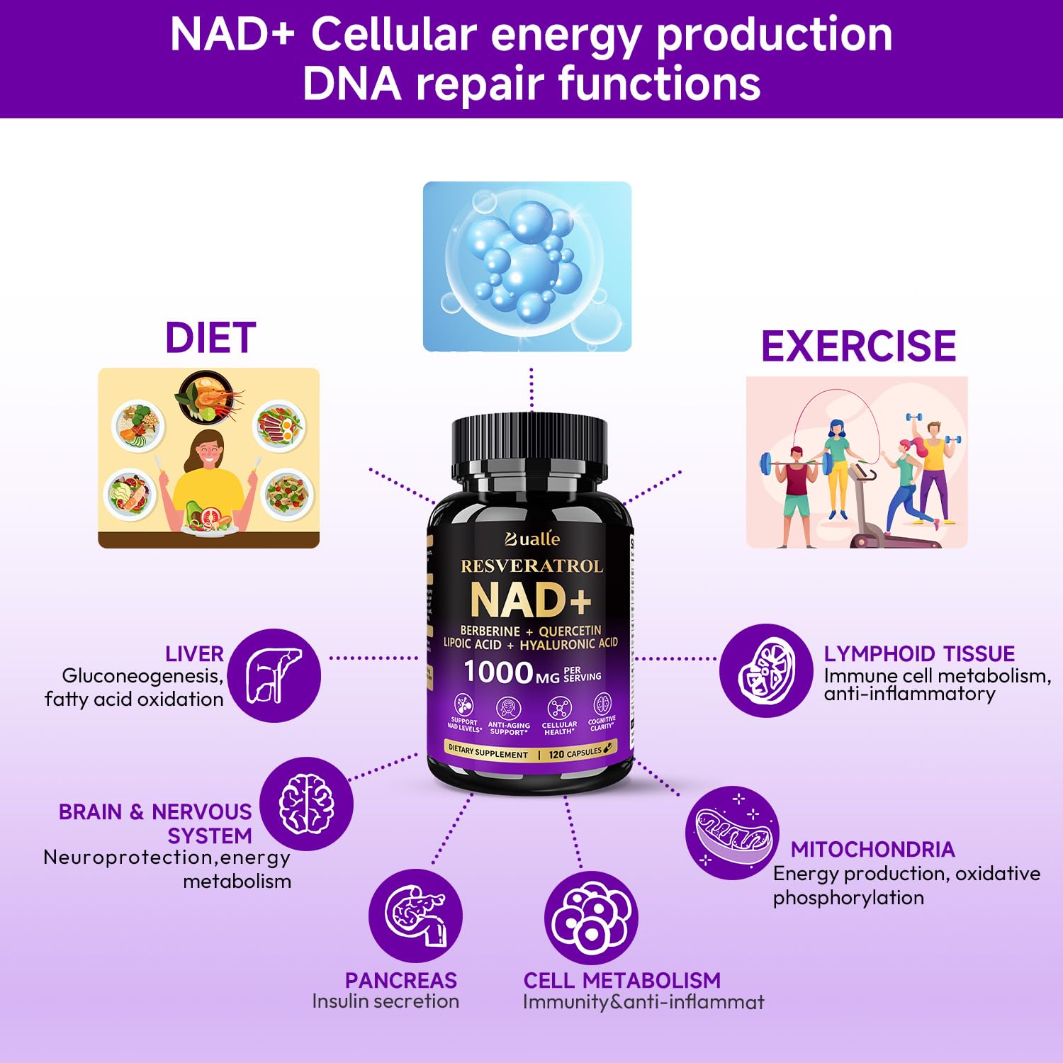 Bualle NAD supplement ingredients-chart details NR NAM resveratrol and antioxidants