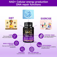 Bualle NAD supplement ingredients-chart details NR NAM resveratrol and antioxidants