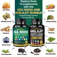 Bualle sea moss capsules close-up highlighting Irish sea moss and minerals.