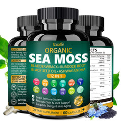 Close-up of sea moss, bladderwrack, and black seed oil ingredients.