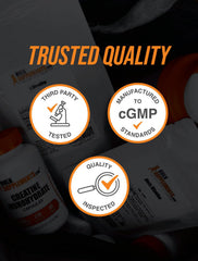 BulkSupplements Alpha GPC powder packaging back highlighting quality standards.