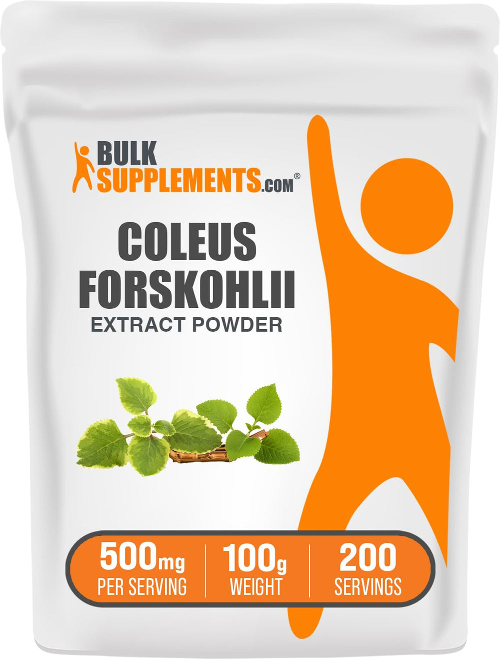BulkSupplements Coleus Forskolii Extract Powder container for easy daily dosing.