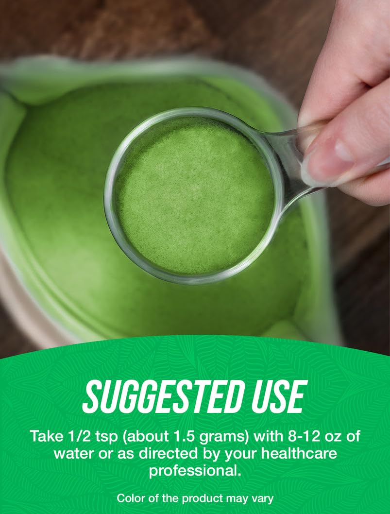 BulkSupplements Organic Wheatgrass Powder glass jar on kitchen counter for daily wellness.