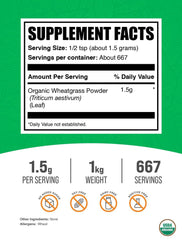 BulkSupplements Organic Wheatgrass Powder scoop for precise, convenient daily servings.