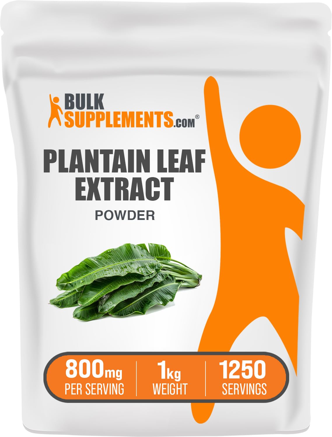 BulkSupplements Plantain Leaf Extract Powder bottle offers convenient daily herbal support.