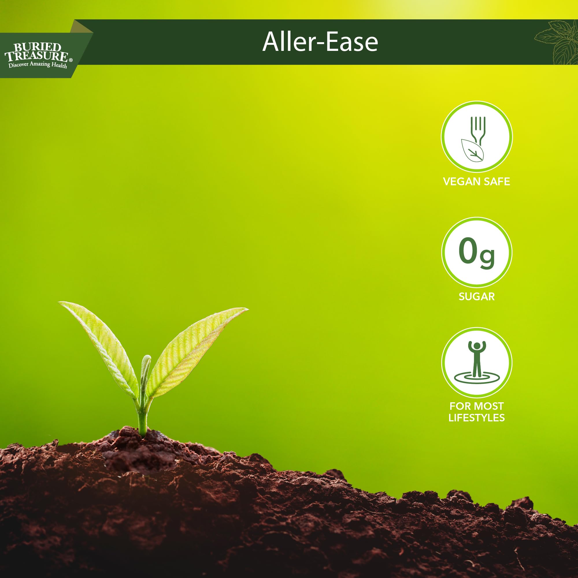 Buried Treasure Aller Ease immune support scene suggesting year-round nasal comfort