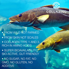 C COLLAZING GMP and FDA-registered facility seal on packaging.