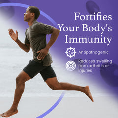 C60 Evo energy-boost olive oil sample for sustained daytime vitality.