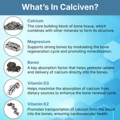 Calciven facility in New York highlighting GMP-certified production