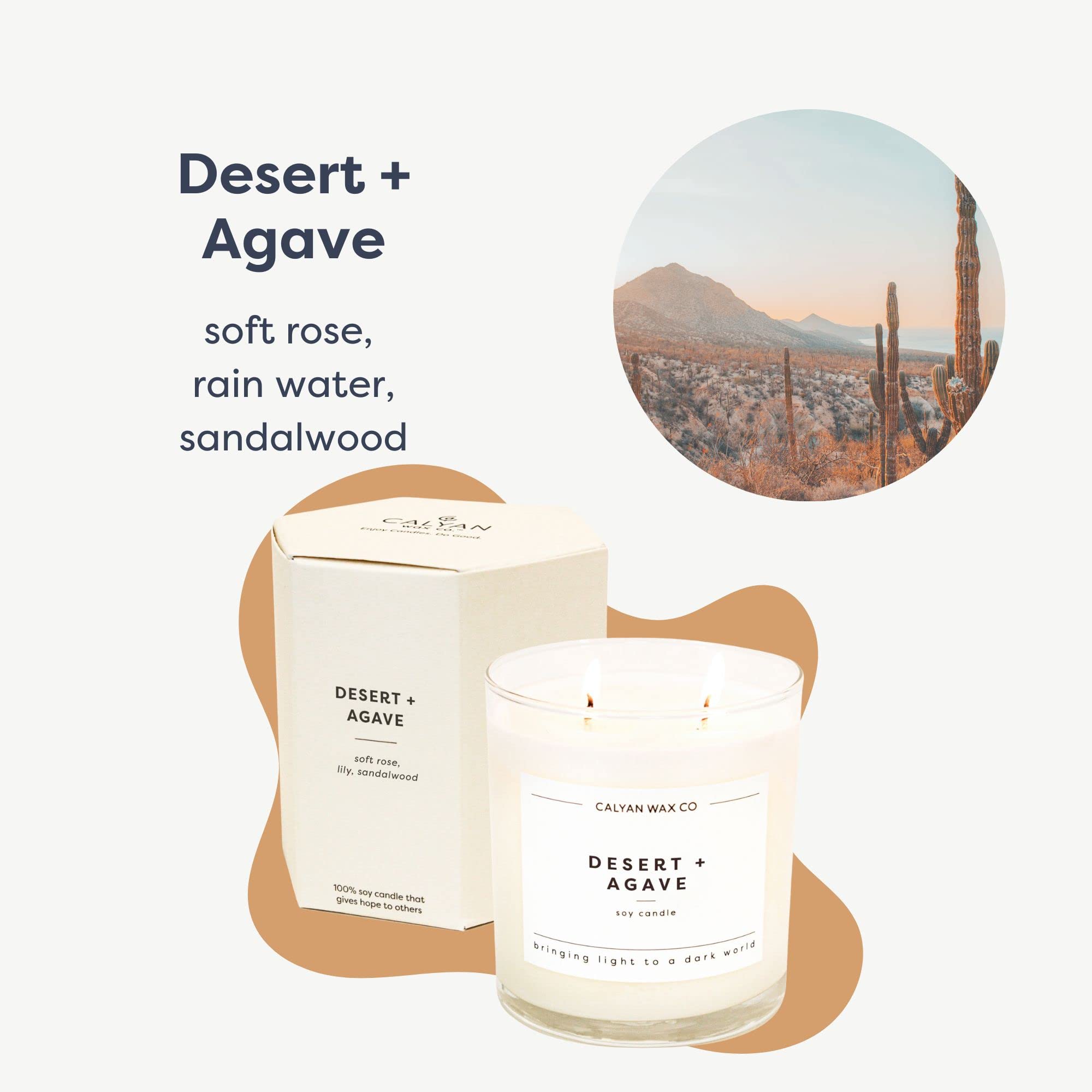 Calyan Wax Co. Desert & Agave candle, wicks close-up highlighting clean burn.