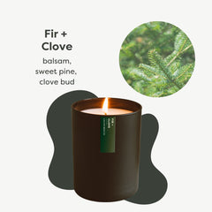 Calyan Wax Co Fir & Clove closeup showcasing pine and clove notes
