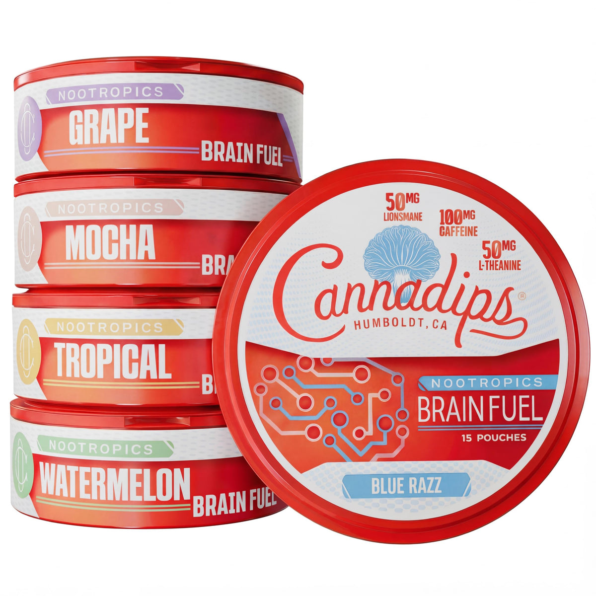 Cannadips Brain Fuel Variety Pack front view showing compact packaging for on-the-go energy